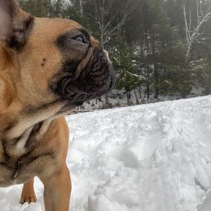 Meet your Posher, Jeahan